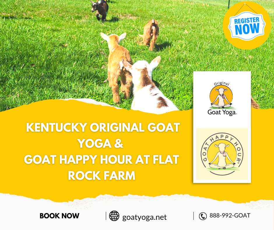New Castle Kentucky Goat Yoga